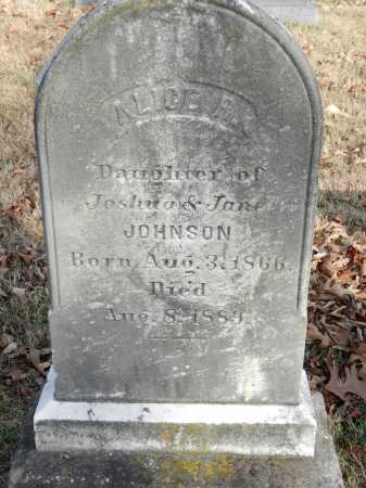 JOHNSON, ALICE R - Baltimore County, Maryland | ALICE R JOHNSON - Maryland Gravestone Photos