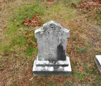 TOLLEY, FRANCIS BRUCE - Harford County, Maryland | FRANCIS BRUCE TOLLEY - Maryland Gravestone Photos