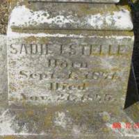 Sadie Estell FLYNN