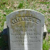 Elizabeth E. COX