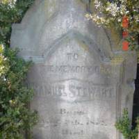 Samuel STEWART